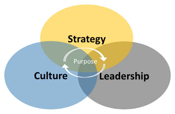 Strategy, Leadership, Culture Diagram