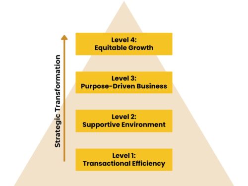 Four levels of ascending strategic transformation: Transactional efficiency, supportive environmeny, purpose-driven business and equitable growth